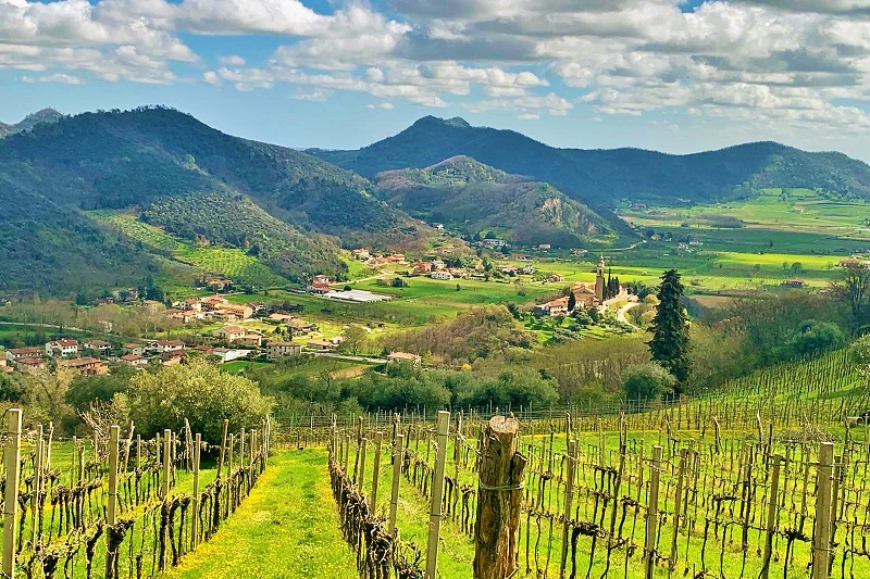 Il 28 agosto aprono le iscrizioni per l’XC Galzignano Terme, terza tappa degli XC Colli Euganei