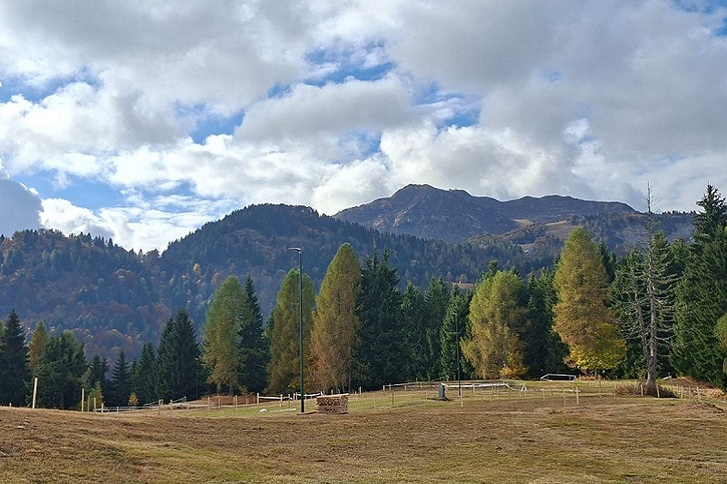 GRC: i dettagli della prossima tappa sul Monte Zoncolan il 19 ottobre