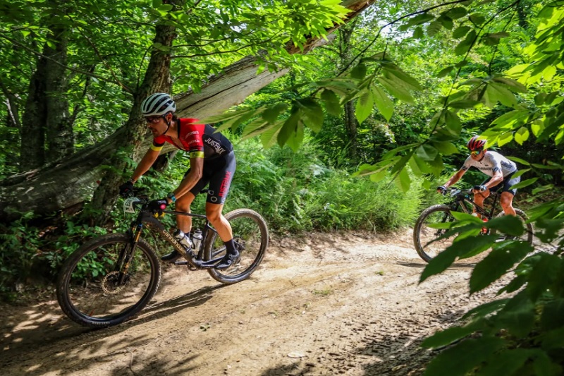 Pronti i calendari 2026 di Bike-Advisor, Parte1 Pronti i calendari 2026 di Bike-Advisor, Parte1