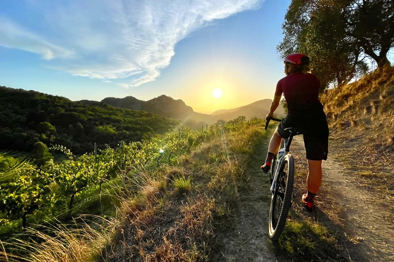 Nasce “The Wild Woods”: tre eventi di ciclismo fuoristrada nel cuore del Parco Regionale dei Colli Eugane